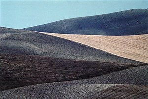 Image description is not available for 1984.037